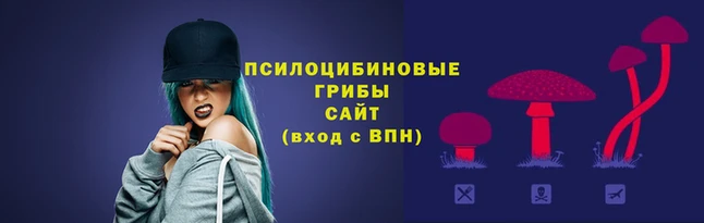 mdma Лиски