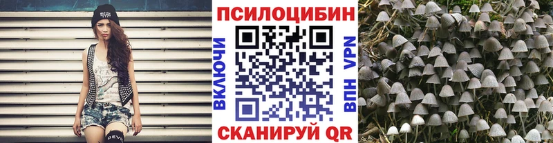 мега   Звенигово  Псилоцибиновые грибы Magic Shrooms 